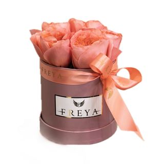 Cutie 5 trandafiri Kandy Xpression