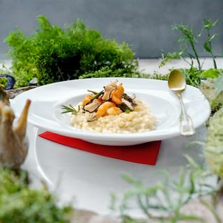 Rižoto sa tikvicama i kozicama