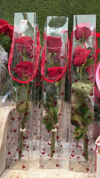 2 Rosas em caixa acrílica c/ corações