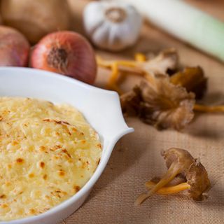 Canelones Sin Gratinar De Setas Variadas (6 Uds.)