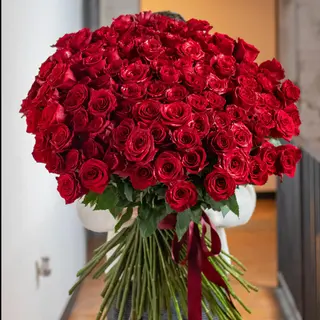 100 Rose