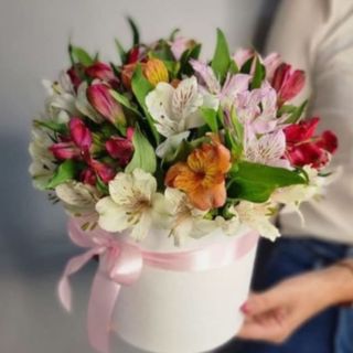 ასტრომერიების კომპოზიცია