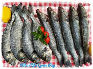 Brancin  Orada 600g posno