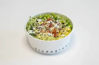 Salmon regular