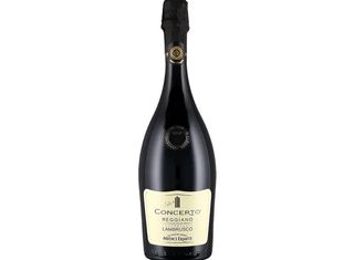 Concerto Lambrusco Reggiano Medici Ermete