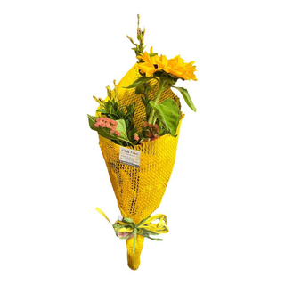 Girasole