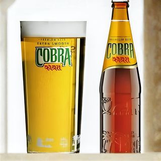 Indian Beer Cobra
