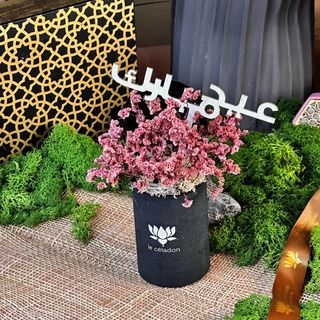  Coffret Statice Séché 