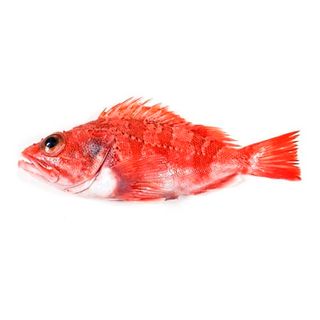 Cabracho Gordo (Aprox. 1 Kg.)