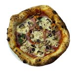 MARGARITA BY NAPOLi 31 cm