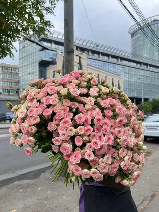 Кущова троянда, 25 шт