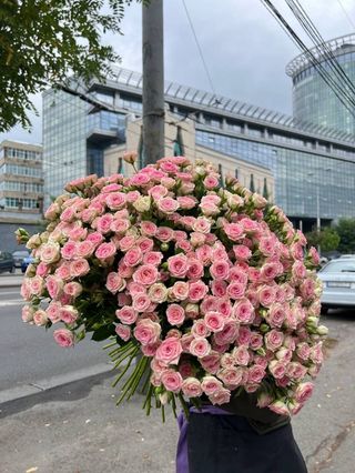 Кущова троянда, 25 шт