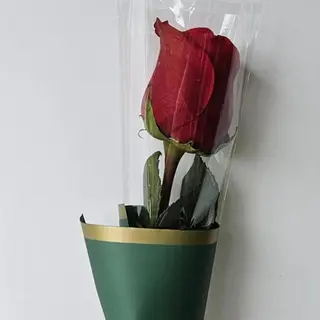 Toque de Carinho