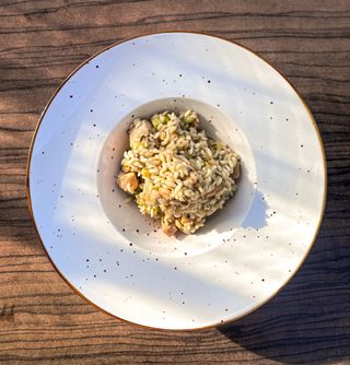 Rižoto sa piletinom