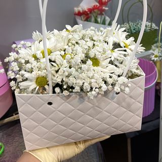 ქრიზანტემები