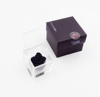 Rosa stabilizzata nera S