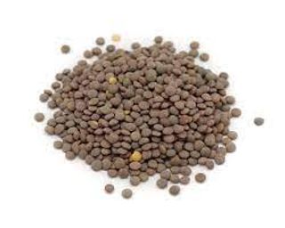 Lenteja Pardina (250 Gr. Aprox)