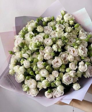 თეთრი ჯუჯა ვარდი