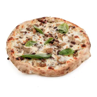 Pizza Funghi Porcini-D