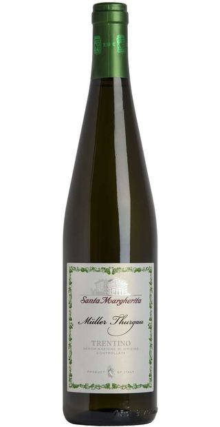 Müller Thurgau Santa Margherita D.O.C