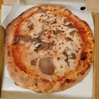 Funghi