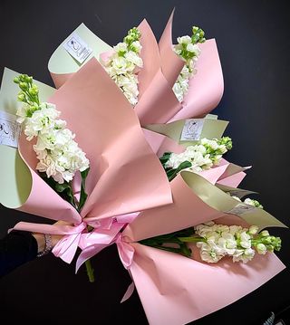 Buchetele mathiola parfumata