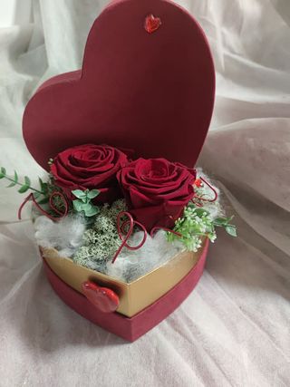 Flower box - trajna ruža 37