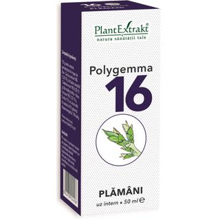 Polygemma nr. 16 - Plamani