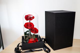 3 crvene večne ruže