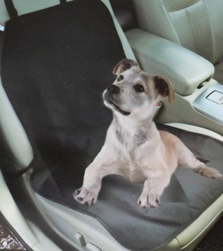 (154534) Auto podmetač za kućne ljubimce 90x50cm P.YF50221