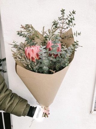 პროტეა, ევკალიპტი