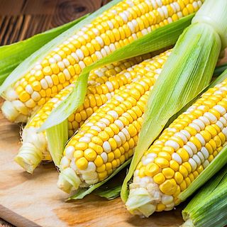 Sweet Corn