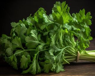 Петрушка (15г)