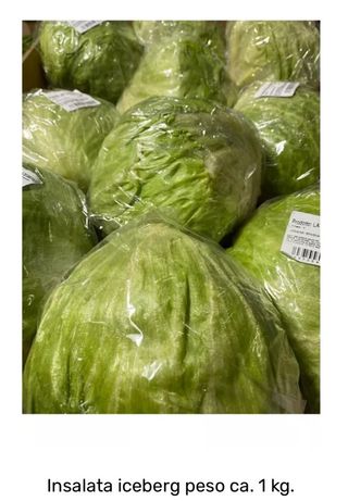 Insalata iceberg 1 pezzo 1 kg. ca.