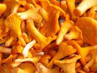 Лисички (200g)