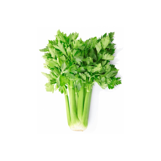 sedano (1 pezzo)