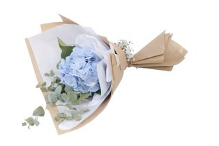 Blue Hydrangea bunch