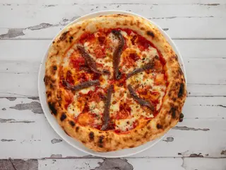Rianella 