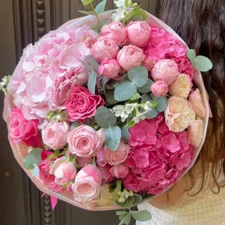 Fuchsia Paradise 