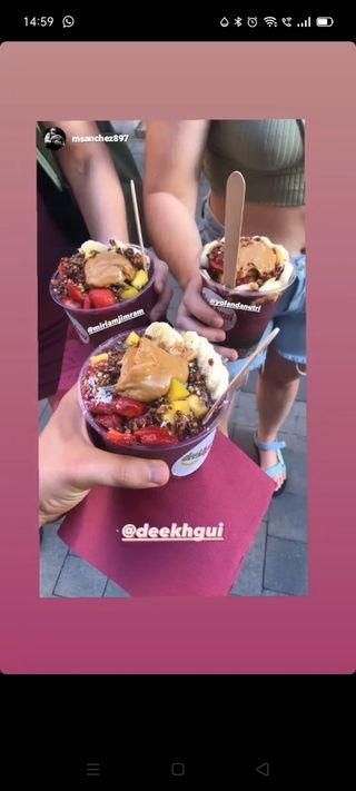 Yungo Pitahaya Bowl Grande (475 Ml.)