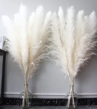 White pampas 1 pezzo 