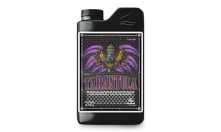 Tarantula - 1 ლ