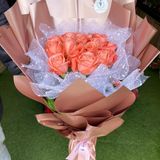 Romane  rose