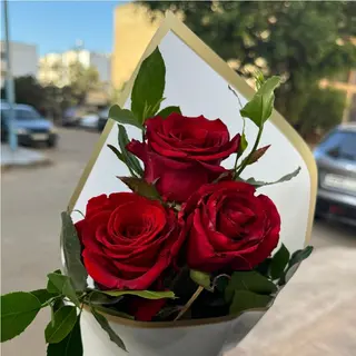 Rose Rouge - 3 Pièce