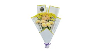 #13 ქრიზანთემა