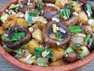 ოჯახური სოკოს