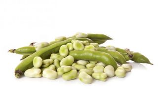 Habitas 500 Gr Aprox