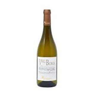 Verdicchio di Matelica Belisario Valbona