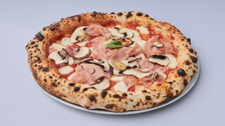 Pizza Funghi