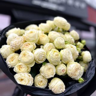 Перлина елегантності 